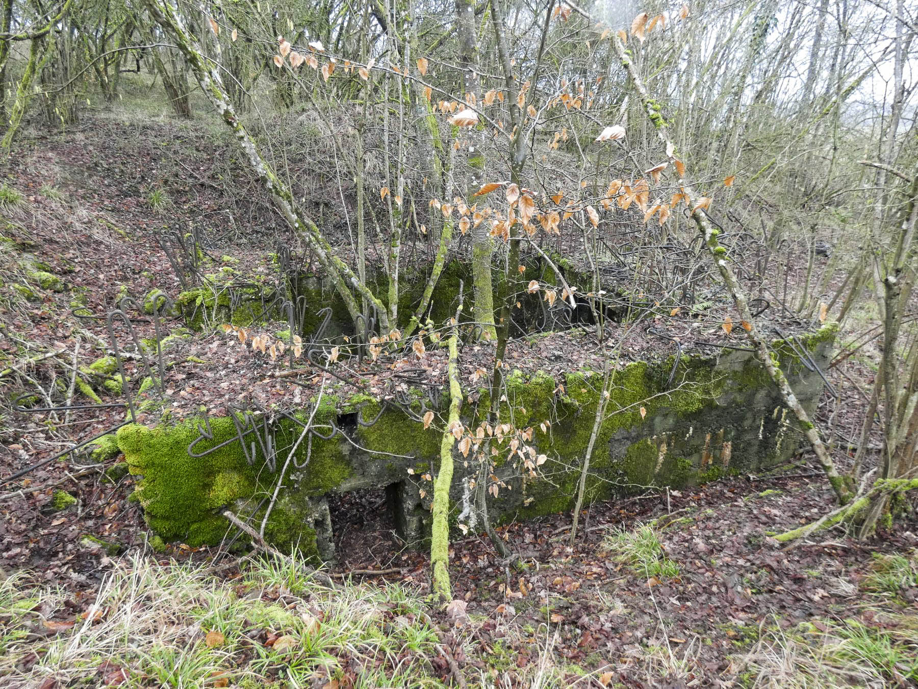 Ligne Maginot - BB320 - (Blockhaus pour canon) - Le côté de l'entrée des hommes. - STENGER Mathieu
