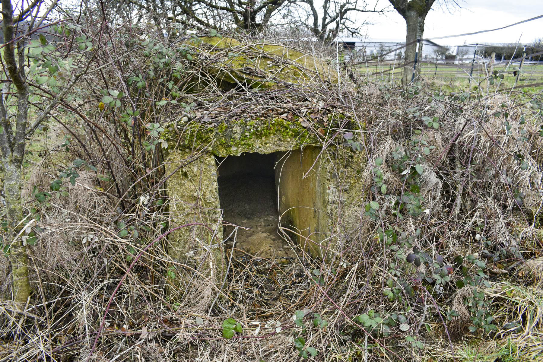 Ligne Maginot - T832 - FOLGENSBOURG SUD - (Cuve pour arme d'infanterie) - L'entrée - Daniel Froehly