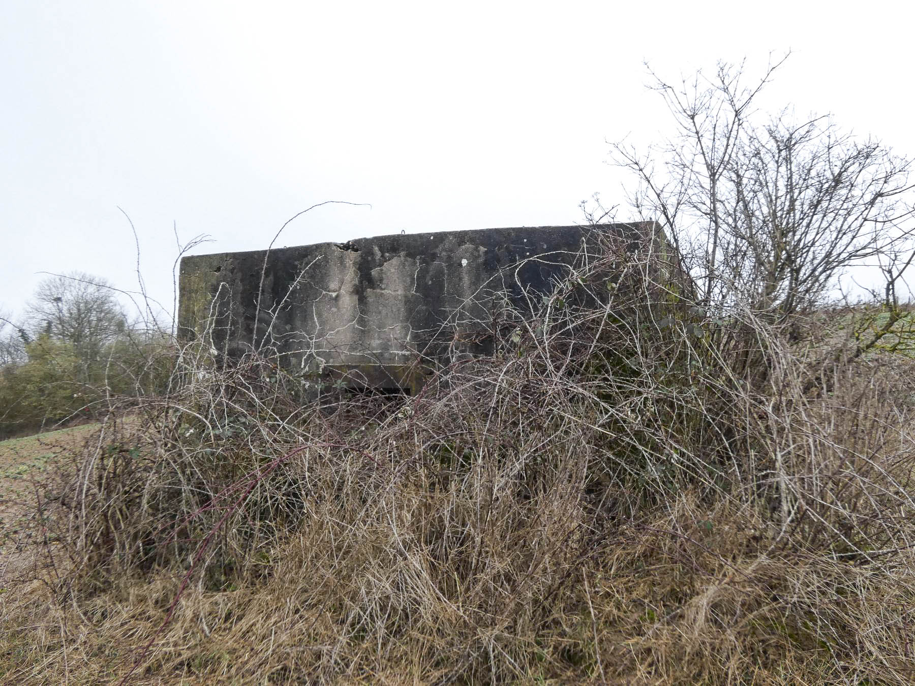 Ligne Maginot - BB319 - SANDBRUCKEN 2 - (Blockhaus pour arme infanterie) - La façade de tir. - STENGER Mathieu