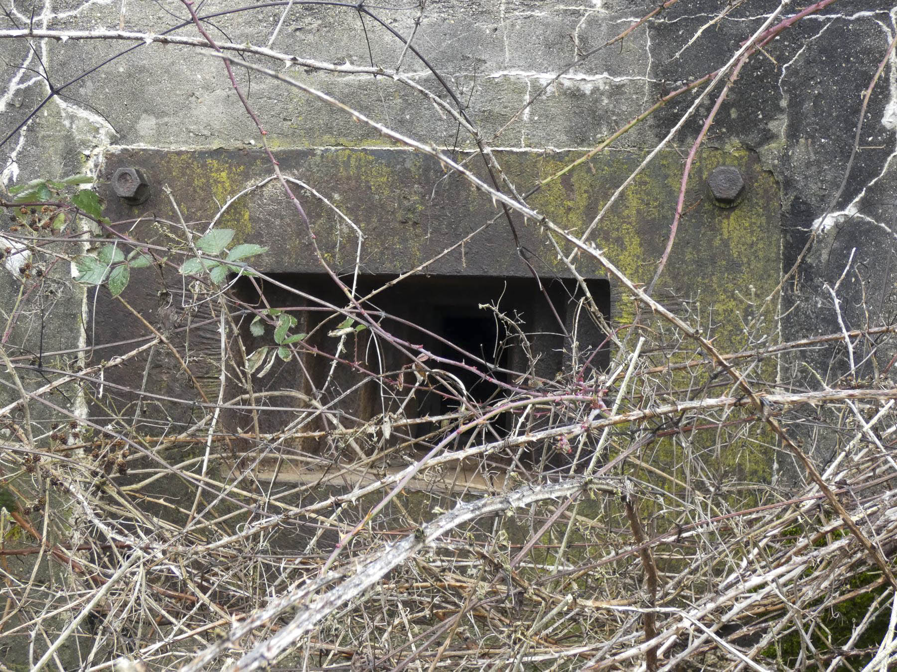 Ligne Maginot - BB319 - SANDBRUCKEN 2 - (Blockhaus pour arme infanterie) - Le créneau pour mitrailleuse. - STENGER Mathieu
