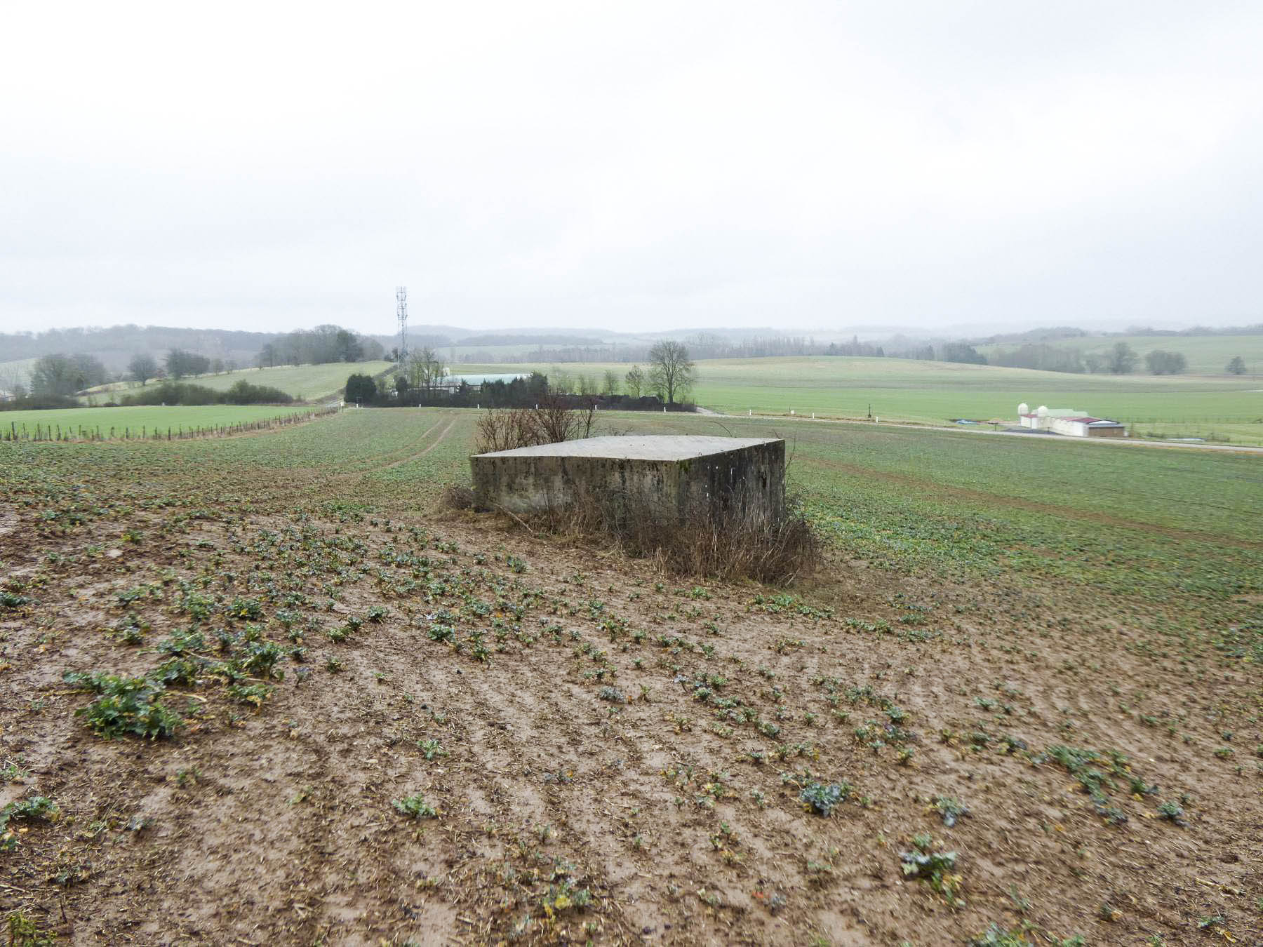 Ligne Maginot - BB319 - SANDBRUCKEN 2 - (Blockhaus pour arme infanterie) - La vue arrière du blockhaus. Il flanque la route Férange-Eberswiller au fond. - STENGER Mathieu
