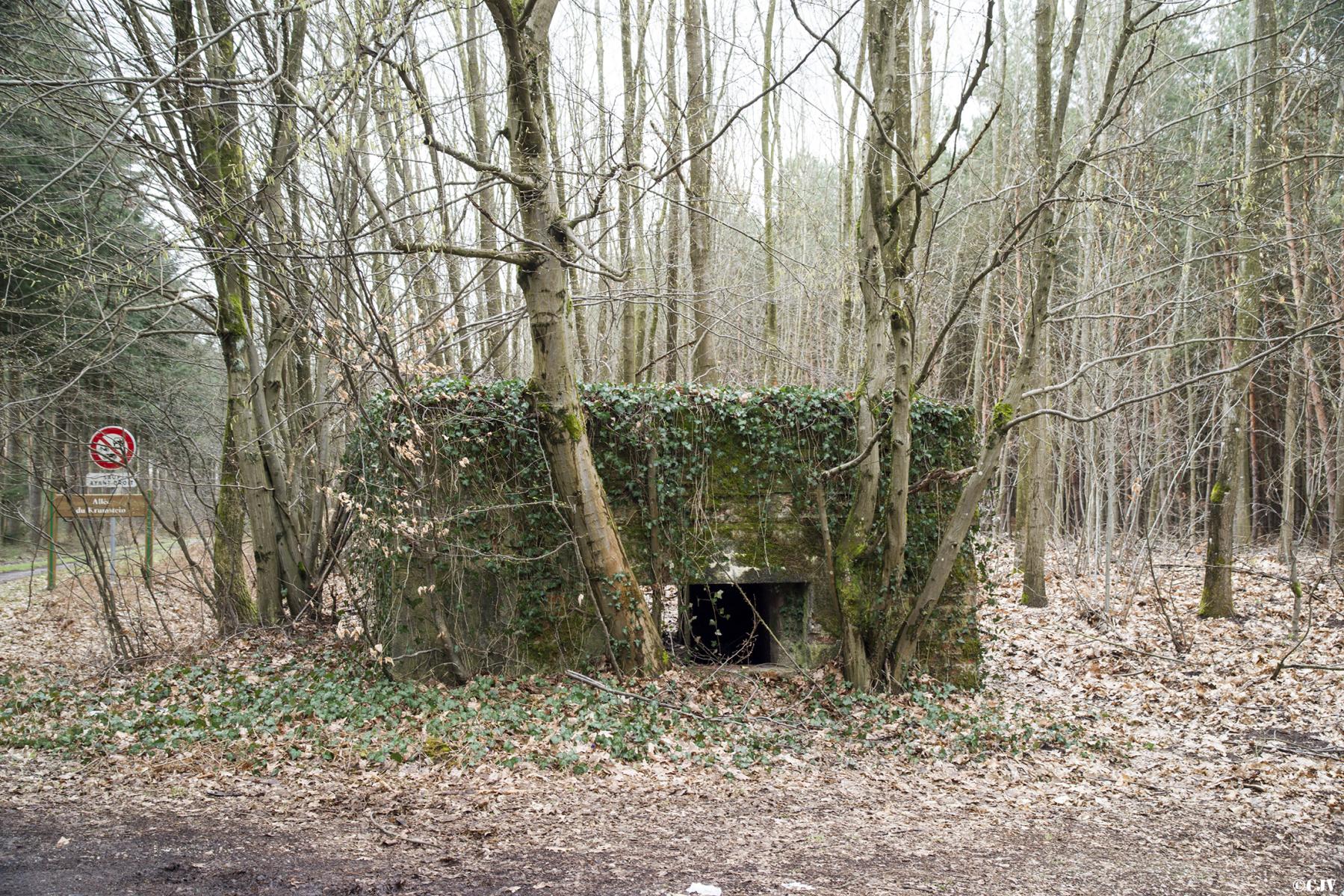 Ligne Maginot - HATTENER STANGER EST 1 - (Blockhaus pour canon) -  - Lia VERMEULEN