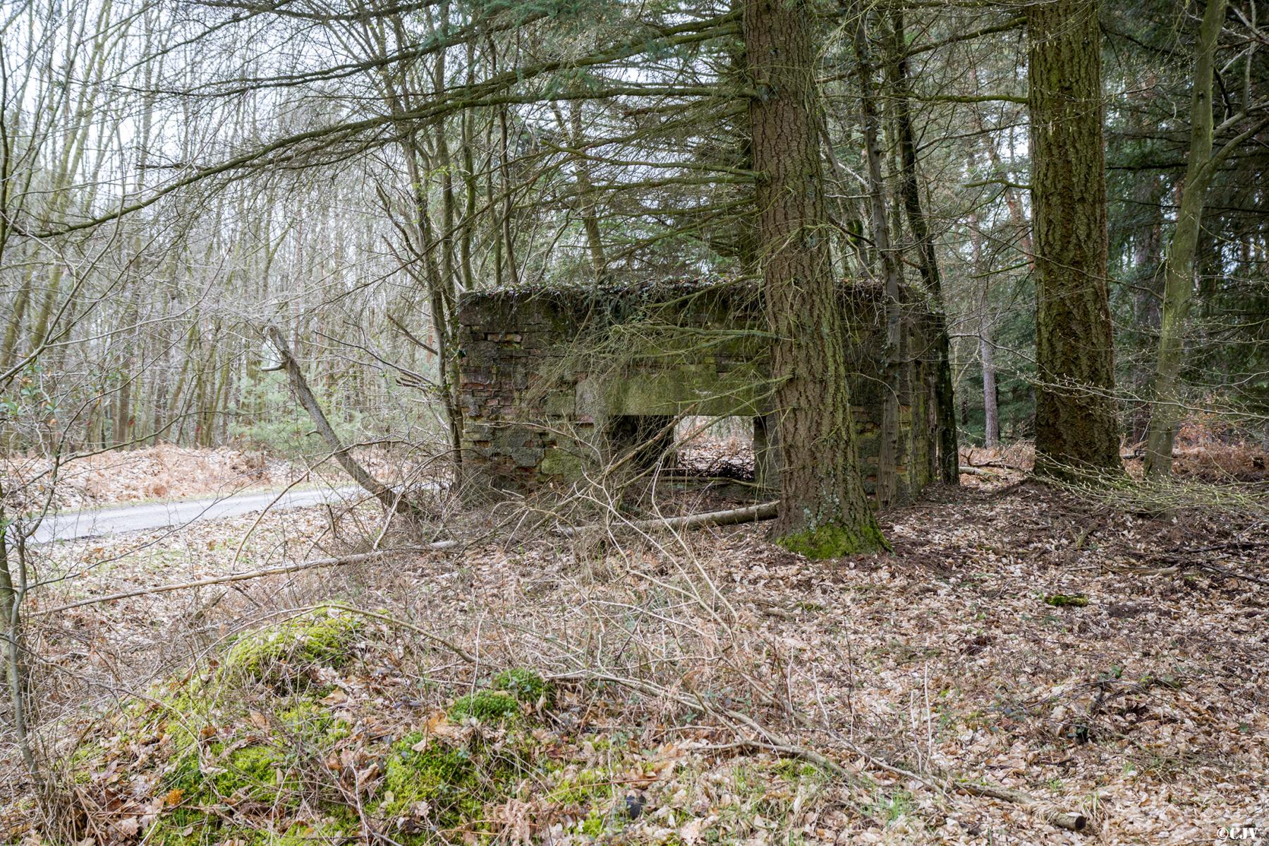 Ligne Maginot - HATTENER STANGER EST 2 - (Blockhaus pour canon) -  - Lia VERMEULEN