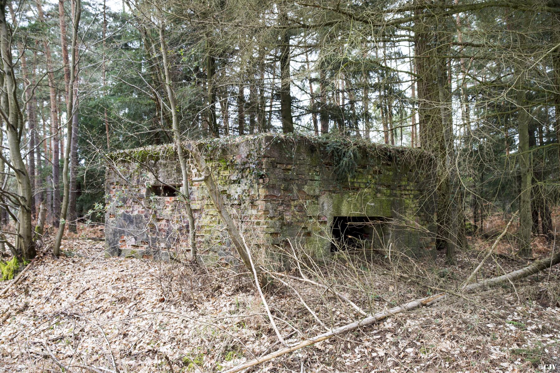 Ligne Maginot - HATTENER STANGER EST 2 - (Blockhaus pour canon) -  - Lia VERMEULEN