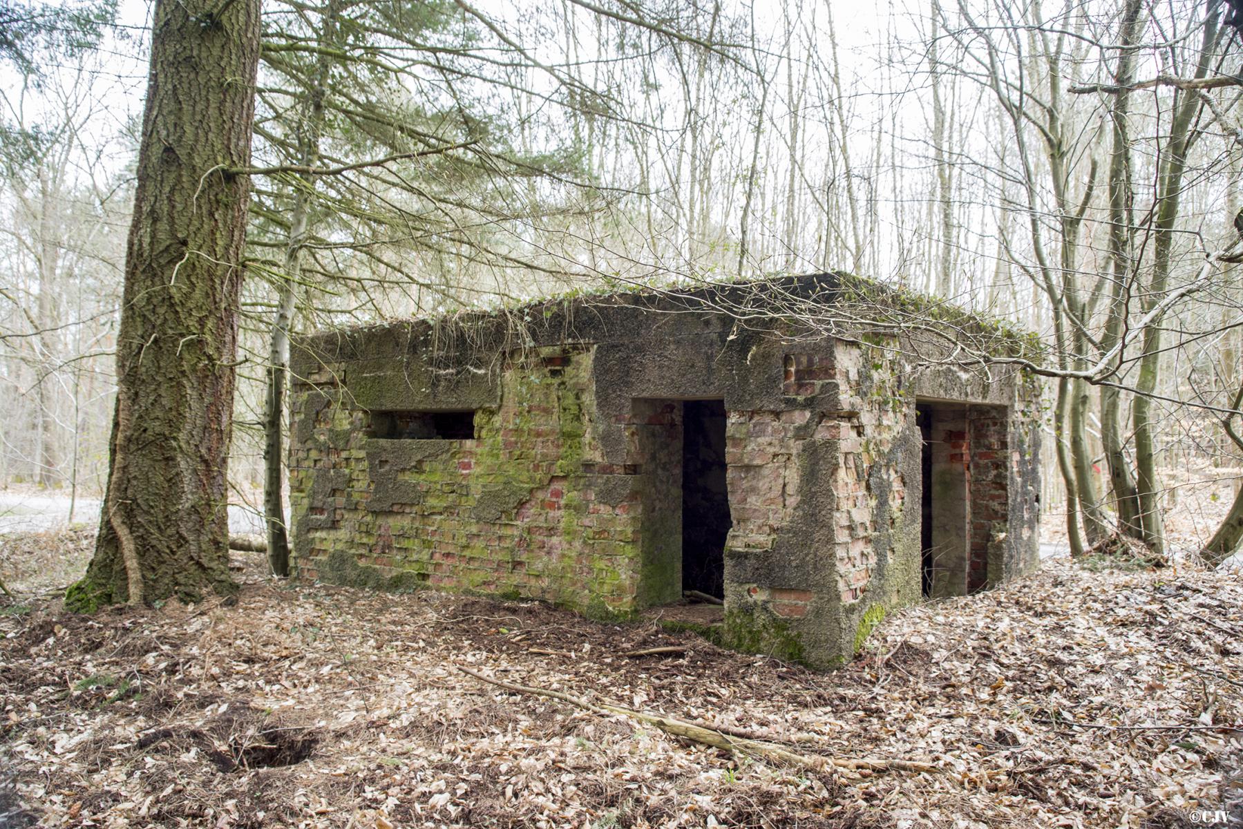 Ligne Maginot - HATTENER STANGER EST 2 - (Blockhaus pour canon) -  - Lia VERMEULEN