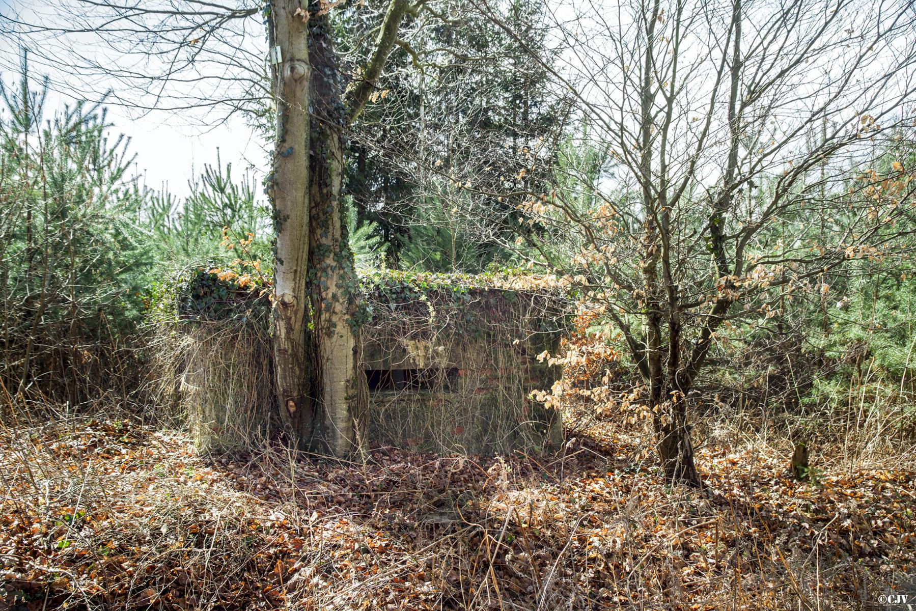 Ligne Maginot - HATTENER STANGER NORD 1 - (Blockhaus pour arme infanterie) -  - Lia VERMEULEN