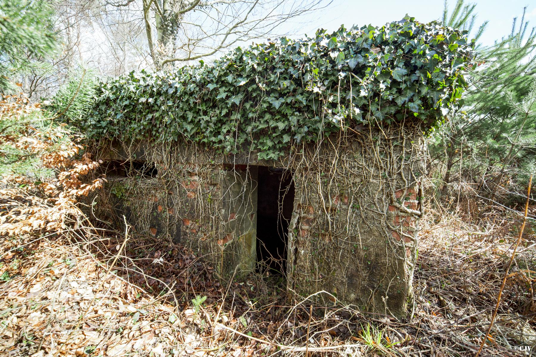 Ligne Maginot - HATTENER STANGER NORD 1 - (Blockhaus pour arme infanterie) -  - Lia VERMEULEN