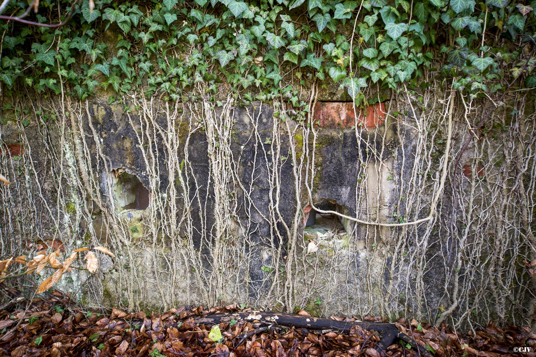 Ligne Maginot - HATTENER STANGER NORD 2 - (Blockhaus pour canon) -  - Lia VERMEULEN