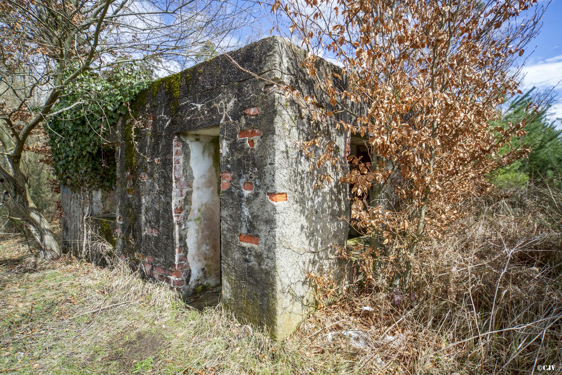 Ligne Maginot - HATTENER STANGER NORD 2 - (Blockhaus pour canon) -  - Lia VERMEULEN