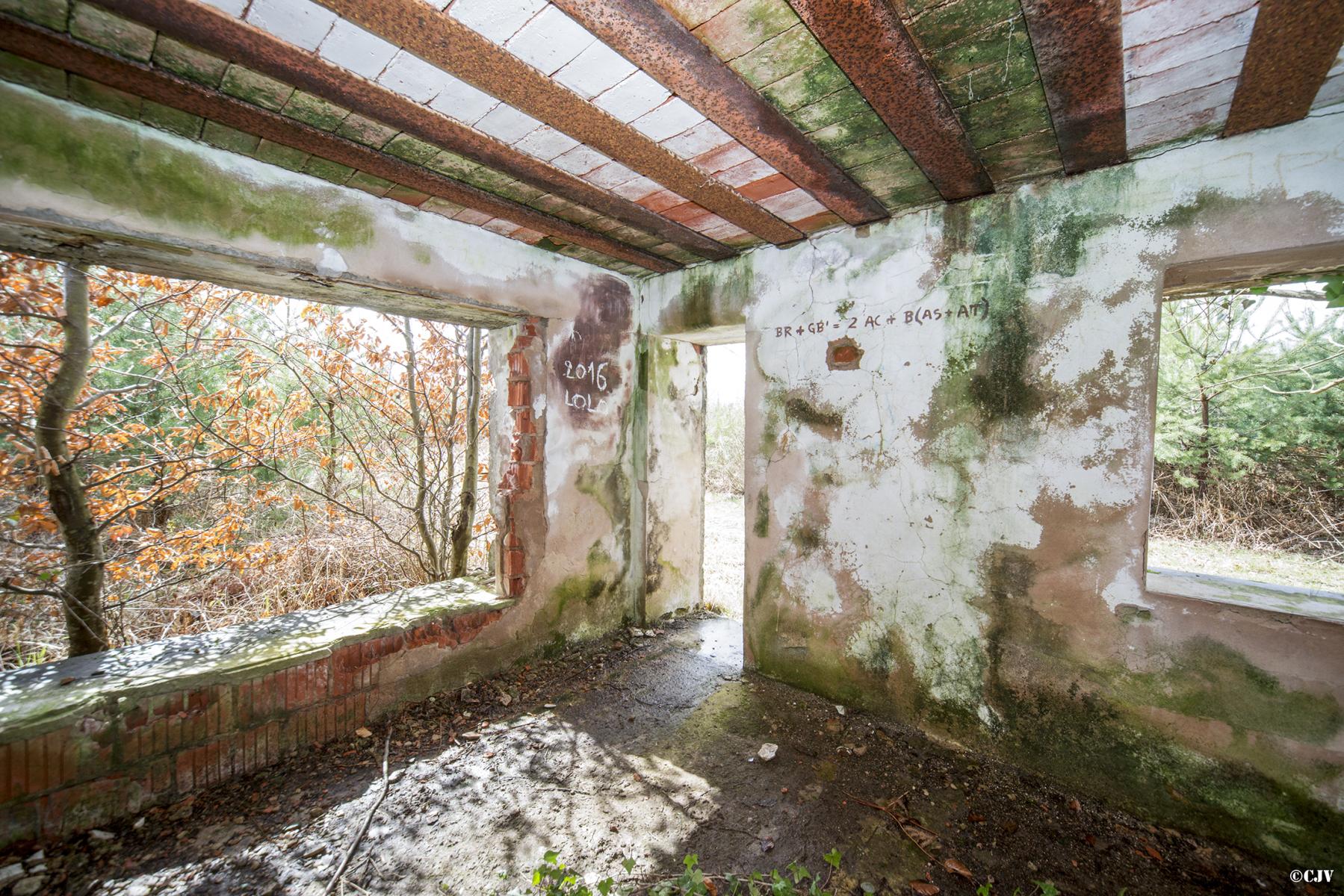 Ligne Maginot - HATTENER STANGER NORD 2 - (Blockhaus pour canon) -  - Lia VERMEULEN