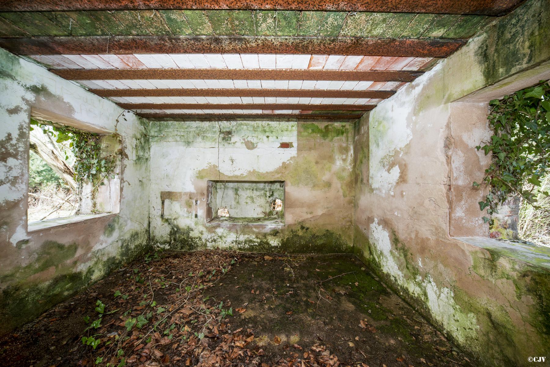 Ligne Maginot - HATTENER STANGER NORD 2 - (Blockhaus pour canon) -  - Lia VERMEULEN