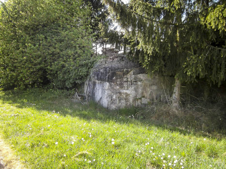Ligne Maginot - HATTEN NORD - (Casemate d'infanterie) - Vue de la façade - GLÜCKSJÄGER GJ13