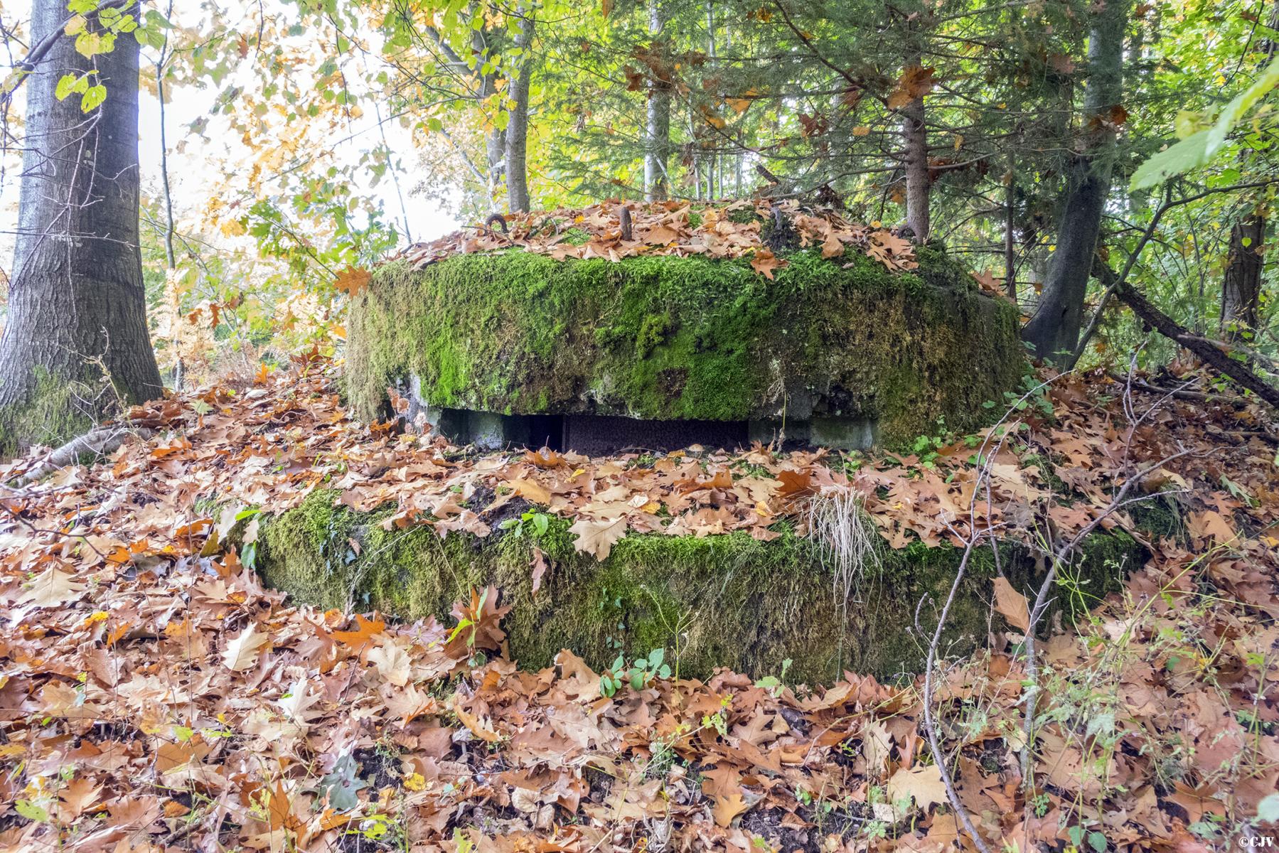 Ligne Maginot - KLOSTERGRABEN 1 - (Blockhaus pour arme infanterie) -  - Lia VERMEULEN