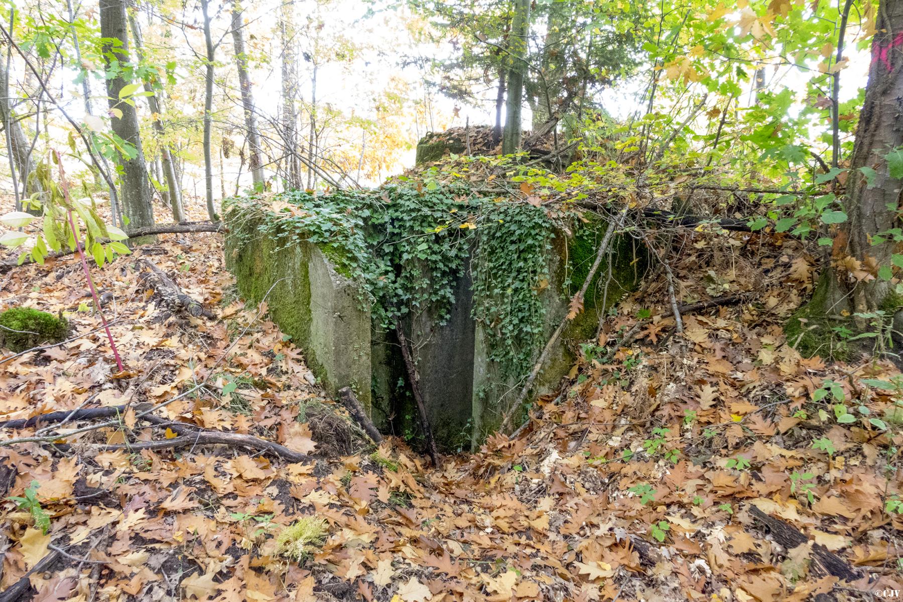 Ligne Maginot - KLOSTERGRABEN 1 - (Blockhaus pour arme infanterie) -  - Lia VERMEULEN