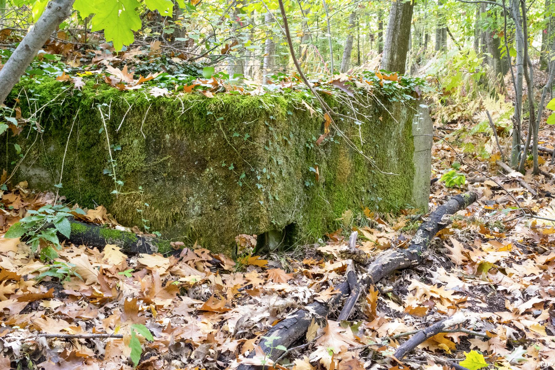 Ligne Maginot - KLOSTERGRABEN 1 - (Blockhaus pour arme infanterie) - Créneau dans le coin de l'accès bétonné - Lia VERMEULEN