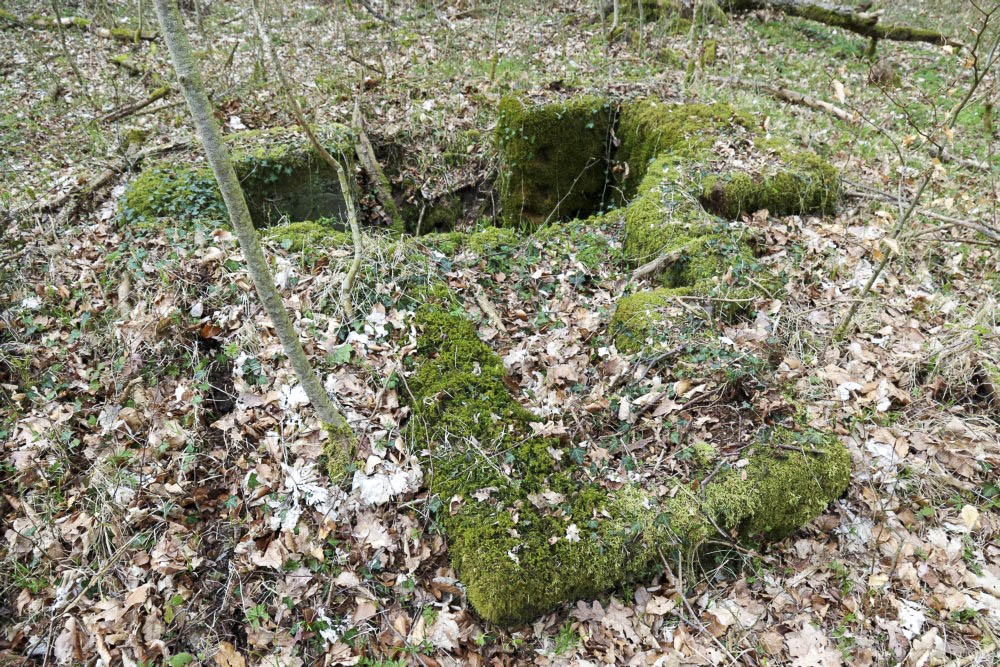 Ligne Maginot - MAISON FORESTIERE DE RITTERSHOFFEN 4 - (Cuve pour arme d'infanterie) -    - Alain Perouffe
