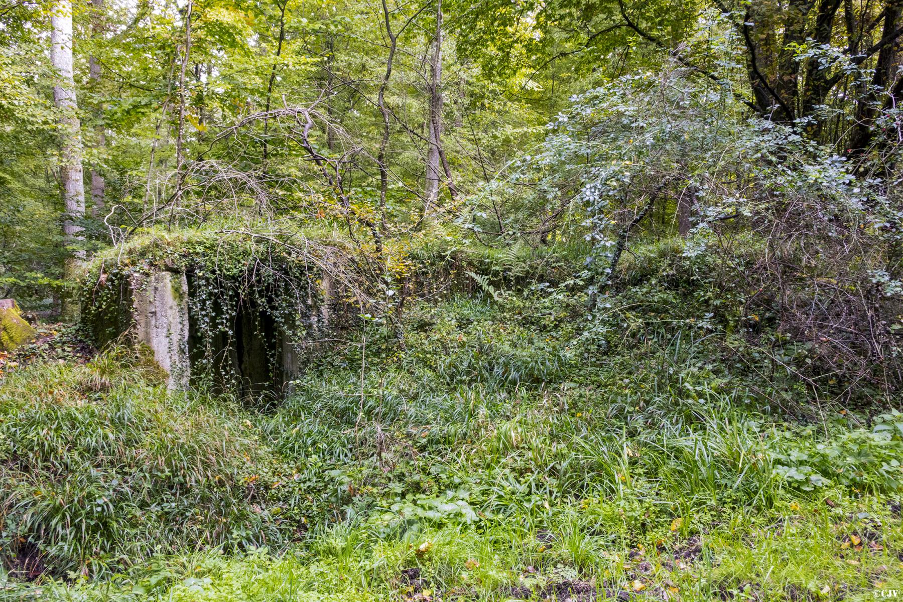 Ligne Maginot - SCHONUNG 1 (Blockhaus pour arme infanterie) - L'entrée - Lia VERMEULEN