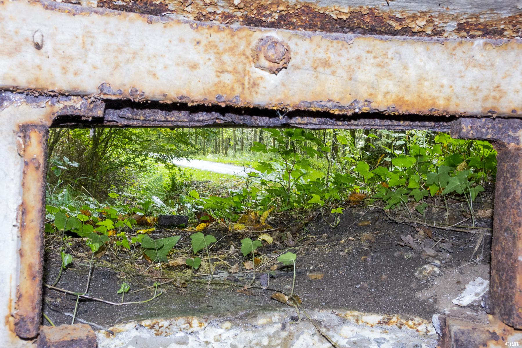 Ligne Maginot - SCHONUNG 1 (Blockhaus pour arme infanterie) -  - Lia VERMEULEN