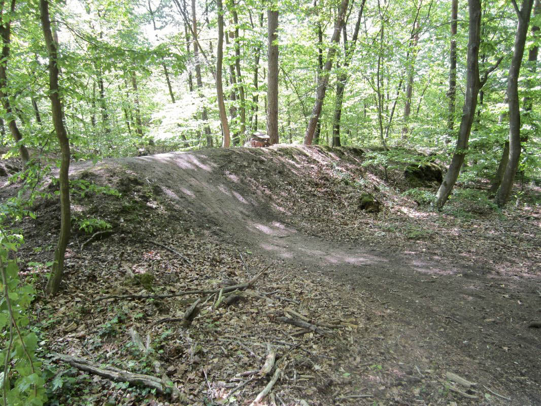 Ligne Maginot - SOUFFLENHEIM - (Dépôt de Munitions) - Remblais de protection devant l'entrées des alvéoles - Gregory Fuchs