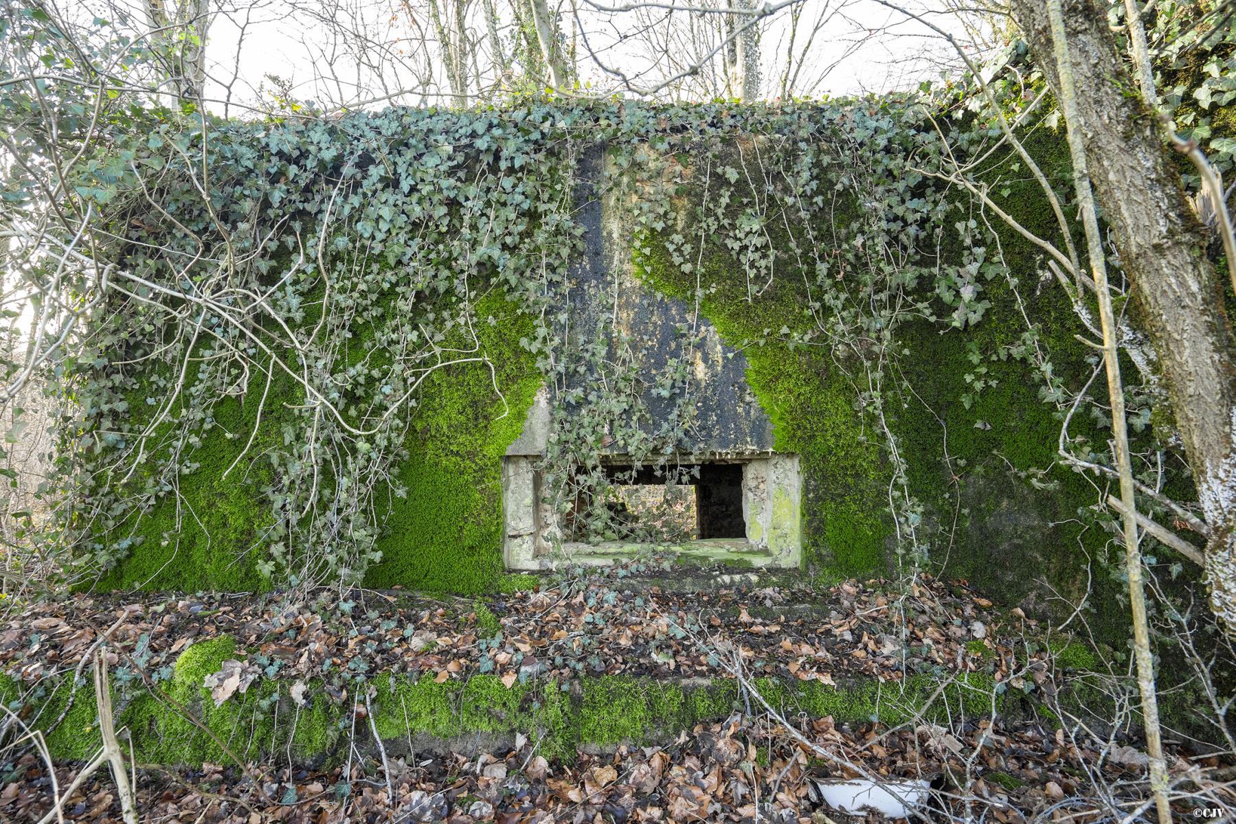 Ligne Maginot - DB230 - PINAUSET - (Blockhaus pour canon) - La façade - Lia VERMEULEN