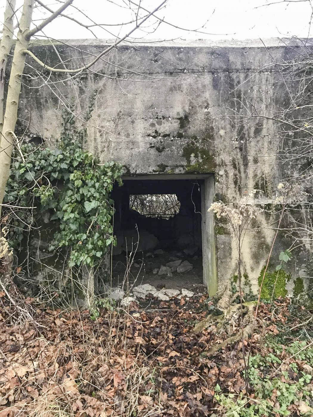 Ligne Maginot - AUENHEIM 1 - (Blockhaus pour canon) -  - Arthur Emmelin