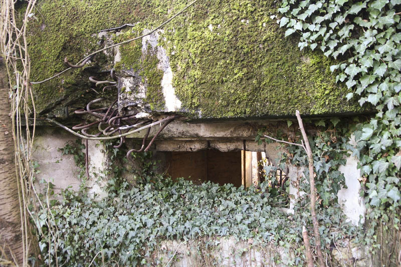 Ligne Maginot - AUENHEIM 2 (Blockhaus pour canon) -  - GRUBER Franck