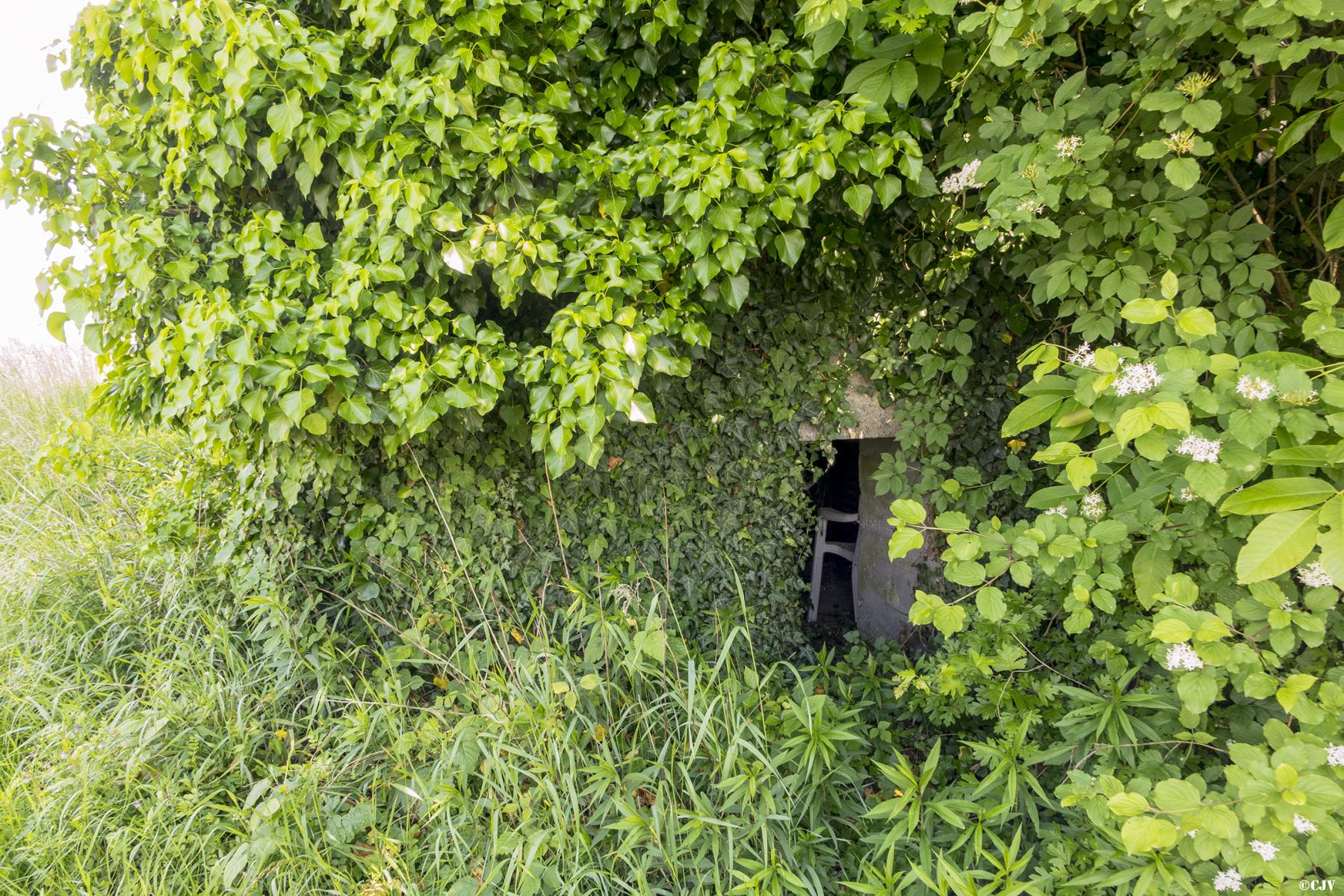 Ligne Maginot - BAHLIEN 2 - (Blockhaus pour arme infanterie) - L'entrée - Lia VERMEULEN