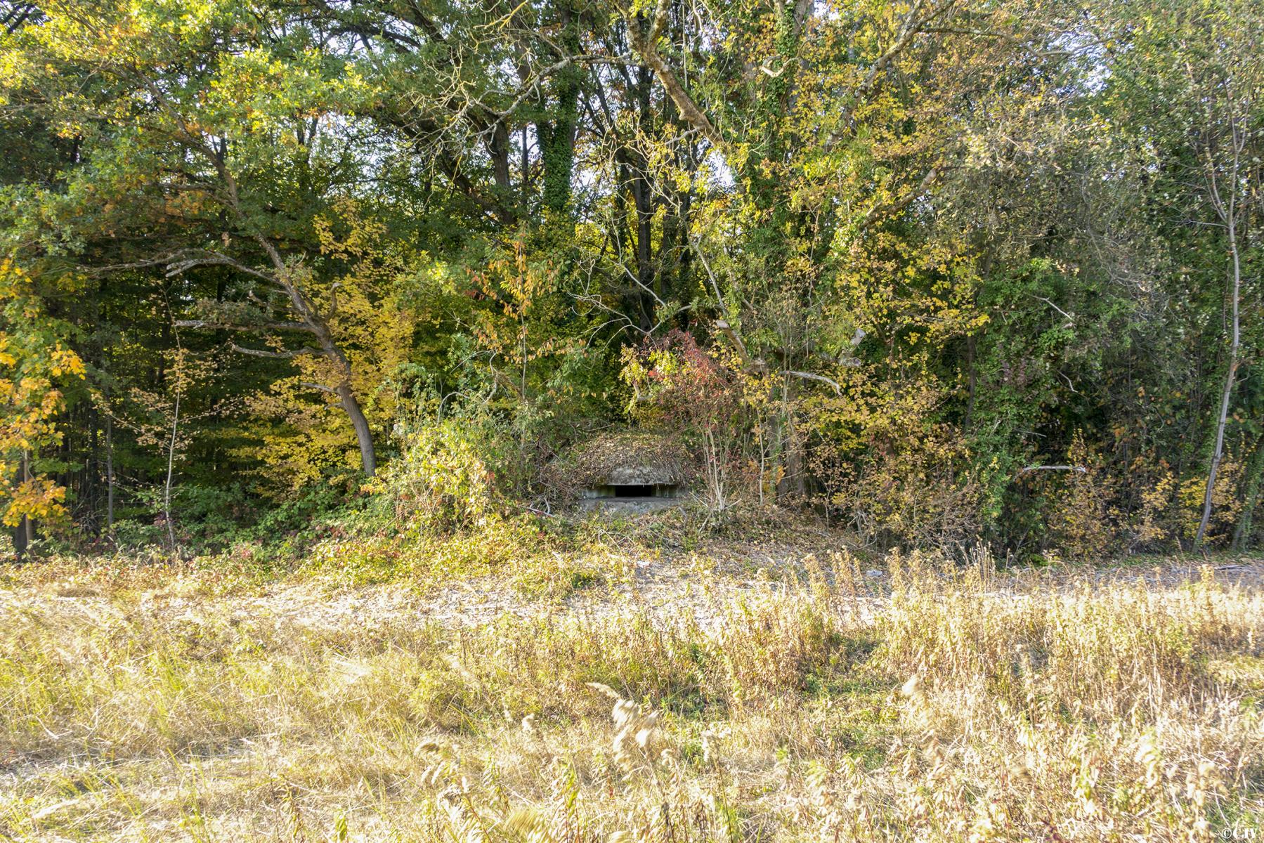 Ligne Maginot - CARREFOUR 121 - (Blockhaus pour arme infanterie) -                - Lia VERMEULEN