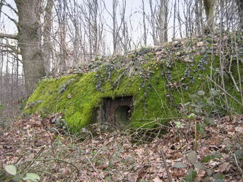 Ligne Maginot - CARREFOUR 121 - (Blockhaus pour arme infanterie) - Le créneau FM central - AALMA - www.lignemaginot.com