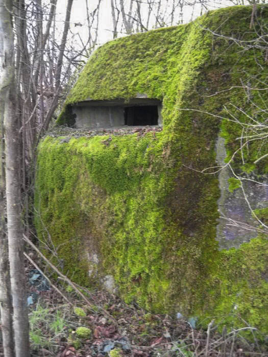 Ligne Maginot - CARREFOUR 121 - (Blockhaus pour arme infanterie) - Vue générale extérieure - Antoine SCHOEN