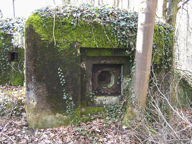 Ligne Maginot - CARREFOUR 121 - (Blockhaus pour arme infanterie) - Défense rapprochée - Antoine SCHOEN
