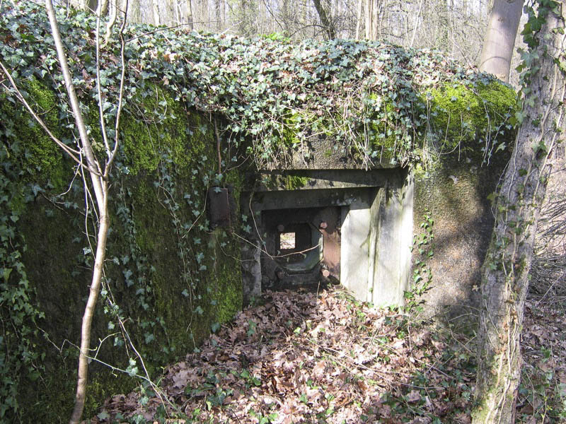Ligne Maginot - CARREFOUR 121 - (Blockhaus pour arme infanterie) - Défense rapprochée - Antoine SCHOEN