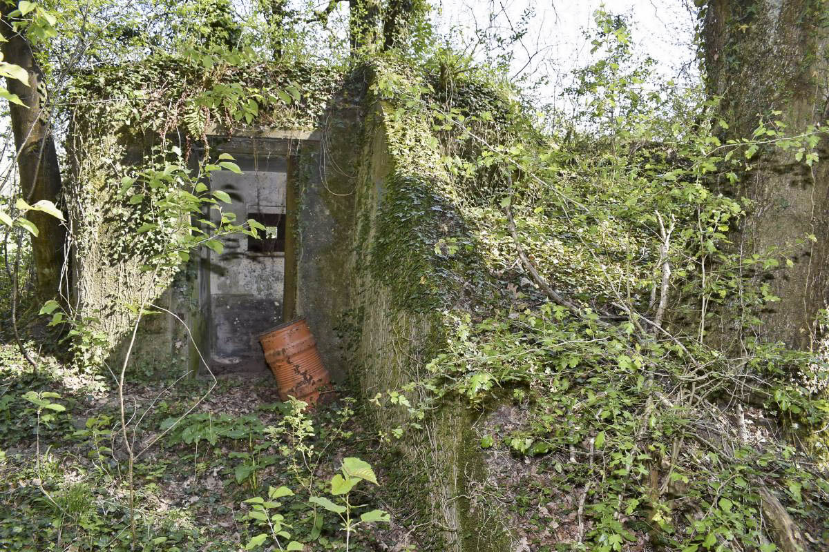 Ligne Maginot - CARREFOUR 121 - (Blockhaus pour arme infanterie) - Entrée - D. Froehly