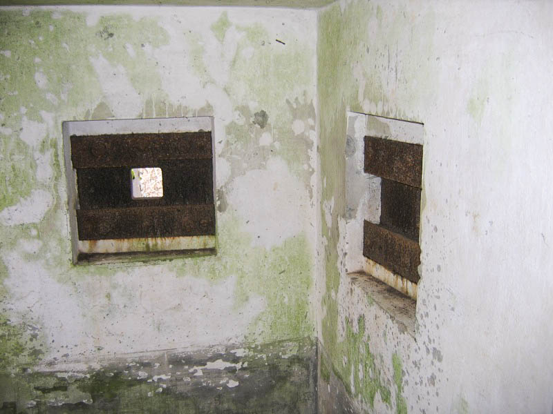 Ligne Maginot - CARREFOUR 121 - (Blockhaus pour arme infanterie) - Créneaux de défense rapprochée - Antoine SCHOEN