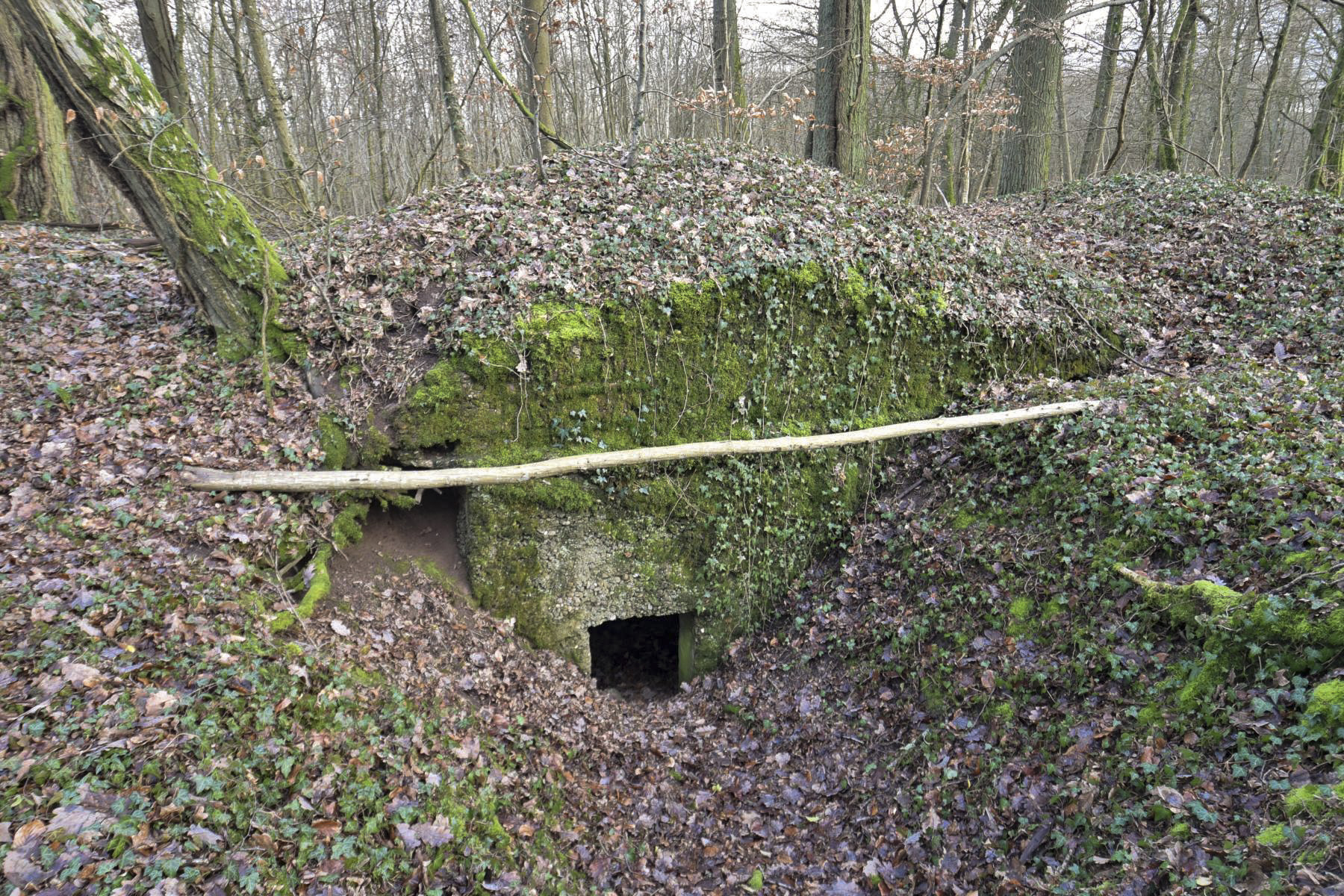 Ligne Maginot - KOBENBERG - (Abri) -  - Ludovic KNAPP