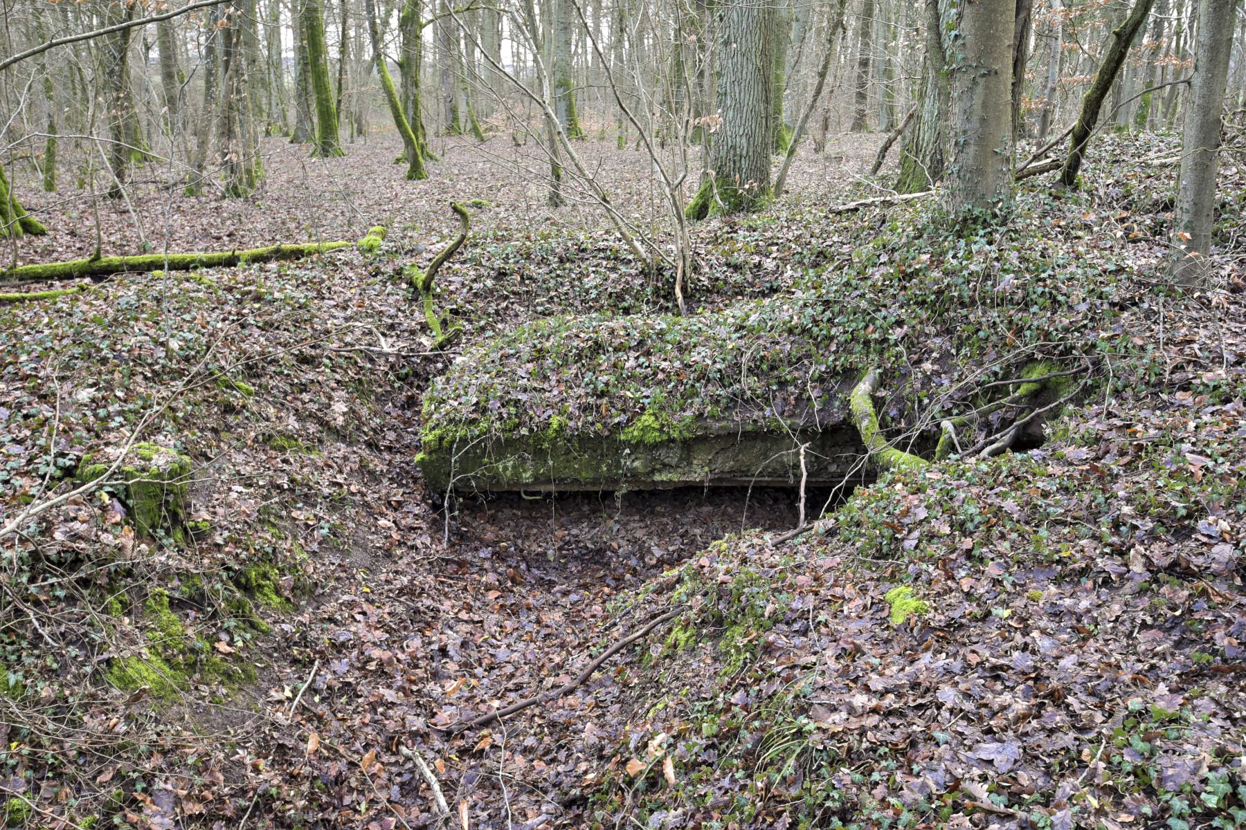 Ligne Maginot - KOBENBERG - (Abri) -  - Ludovic KNAPP
