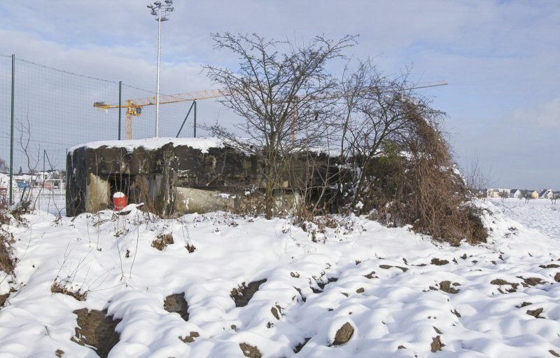 Ligne Maginot - AU NORD - (Blockhaus pour canon) -  - Les Gardiens du Rhin