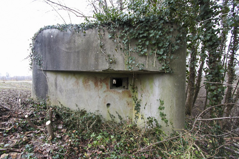 Ligne Maginot - FAHRKOPF NORD - (Blockhaus pour arme infanterie) -  - Les Gardiens du Rhin