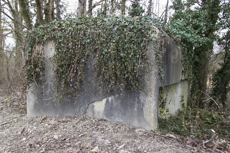 Ligne Maginot - FAHRKOPF NORD - (Blockhaus pour arme infanterie) -  - Les Gardiens du Rhin