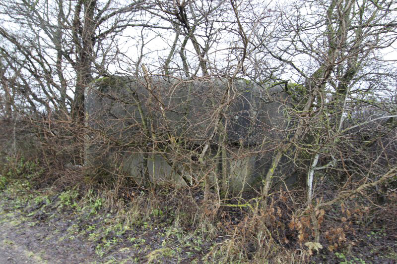 Ligne Maginot - GRIES (Blockhaus pour arme infanterie) -  - Les Gardiens du Rhin