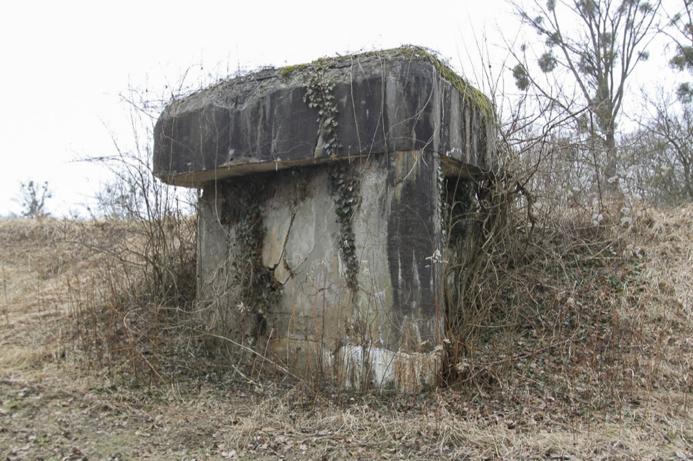 Ligne Maginot - ROHRKOPF NORD - (Blockhaus pour arme infanterie) -  - A. SCHOEN