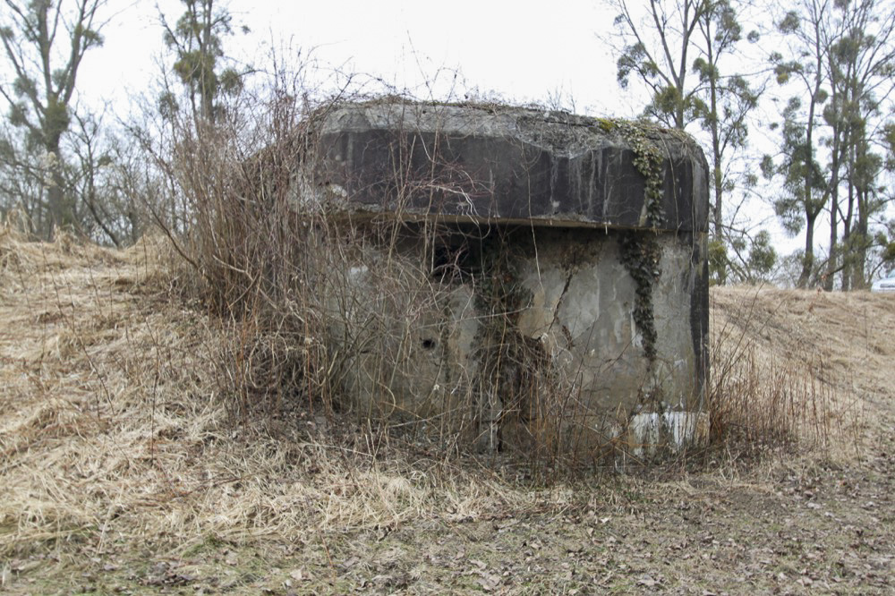Ligne Maginot - ROHRKOPF NORD - (Blockhaus pour arme infanterie) -  - A. SCHOEN