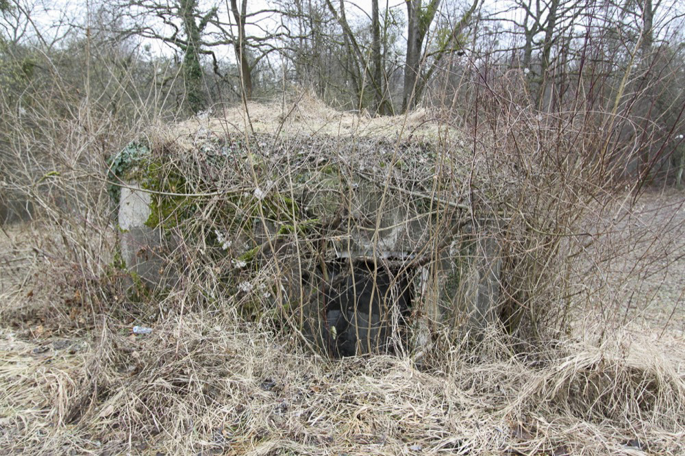 Ligne Maginot - ROHRKOPF NORD - (Blockhaus pour arme infanterie) -  - A. SCHOEN