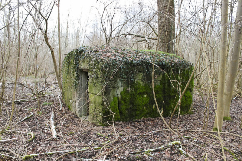 Ligne Maginot - ROSSMOERDER Sud Ouest (Abri) -  - Les Gardiens du Rhin