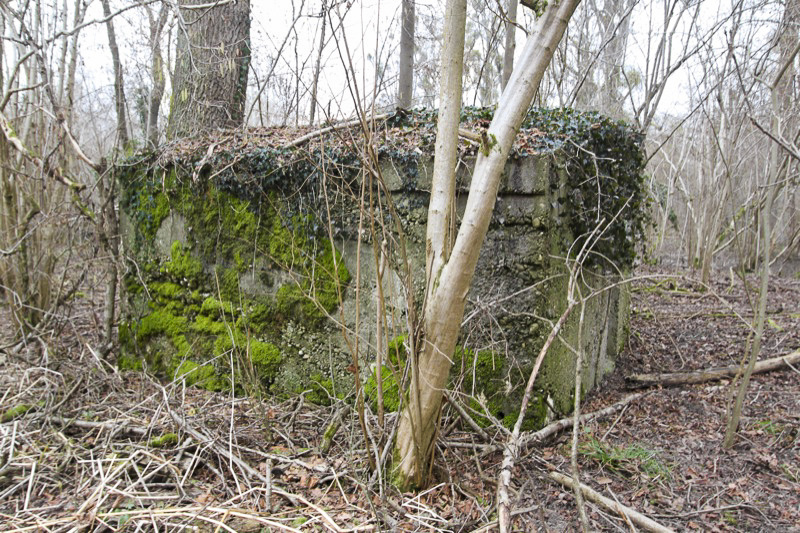 Ligne Maginot - ROSSMOERDER Sud Ouest (Abri) -  - Les Gardiens du Rhin