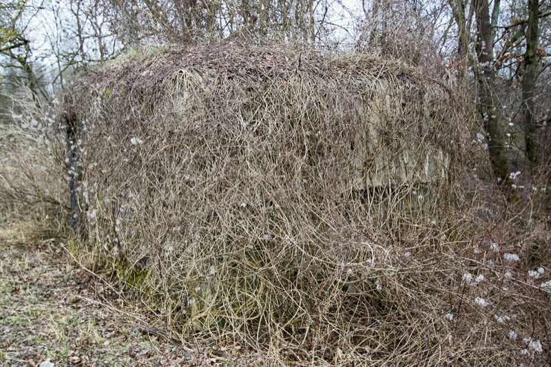 Ligne Maginot - SCHWARZLACH 4 (Blockhaus pour arme infanterie) -  - Les Gardiens du Rhin