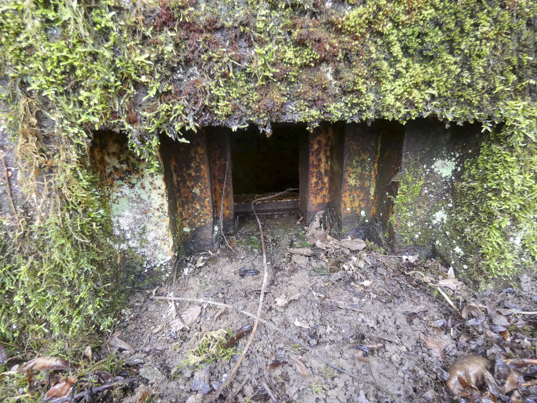 Ligne Maginot - BB346 - PFAFFENKLAUSERBUSCH OUEST - (Blockhaus pour arme infanterie) - L'embrasure pour mitrailleuse. - STENGER Mathieu