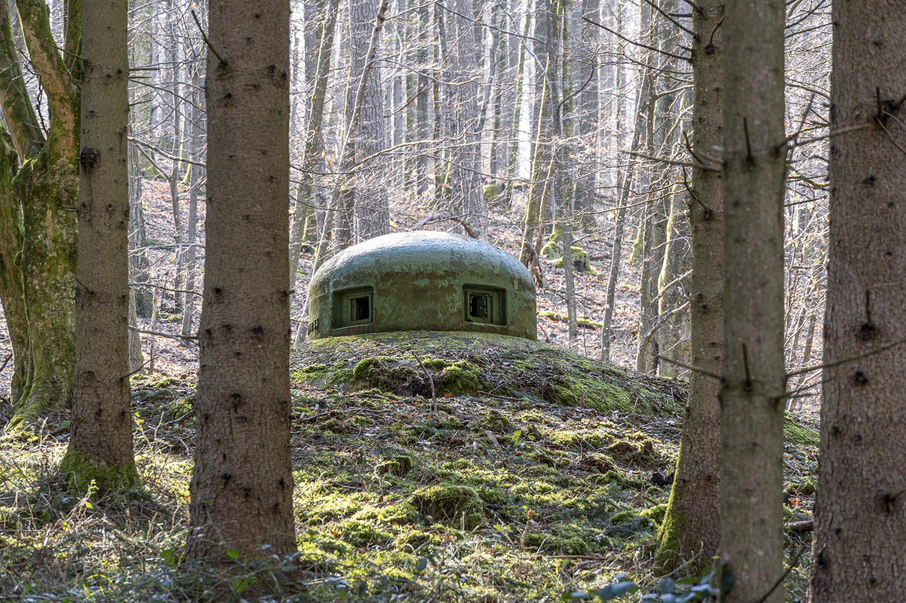 Ligne Maginot - SAEGEMUHLE - (Blockhaus pour arme infanterie) - Cloche GFM - David Palmer
