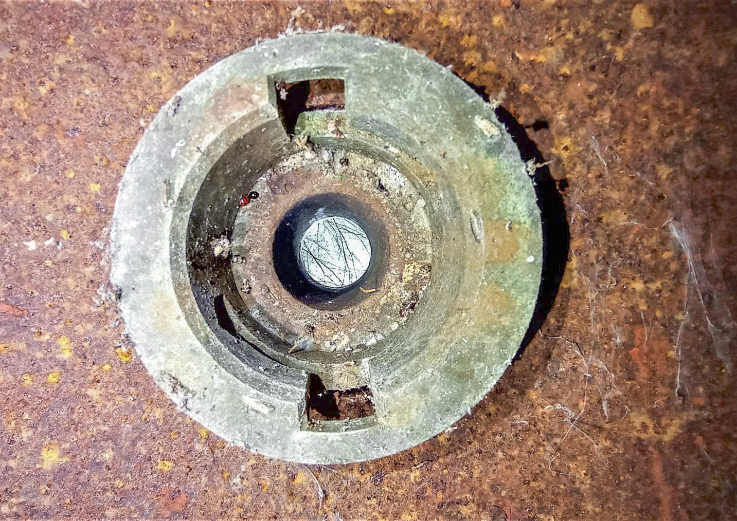 Ligne Maginot - SAEGEMUHLE - (Blockhaus pour arme infanterie) - Cloche GFM
Orifice périscopique - Baptiste GAUDIN