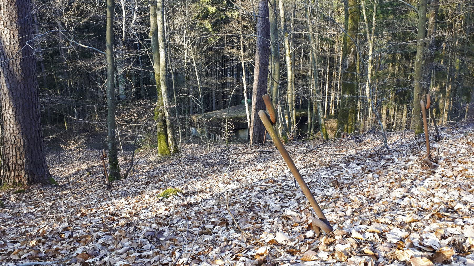 Ligne Maginot - SAEGEMUHLE - (Blockhaus pour arme infanterie) - Piquets du réseau barbelés - Gregory Fuchs